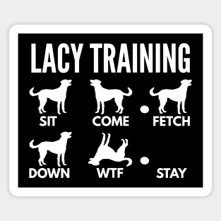 Lacy Training Blue Lacy Tricks Magnet